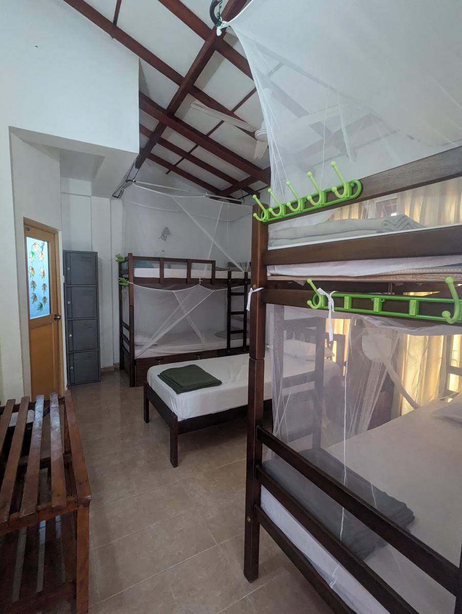 Avocado Hostel photo 3