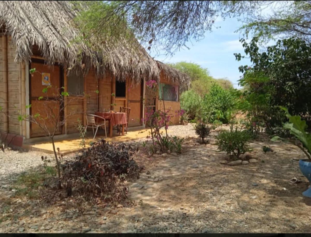 Wasi Center, Holistic and Mystic photo 2