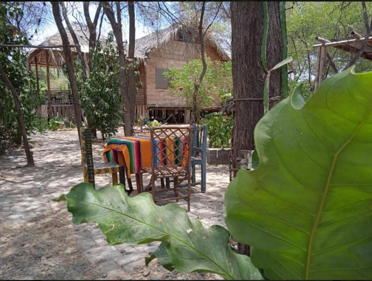 Wasi Center, Holistic and Mystic photo 4