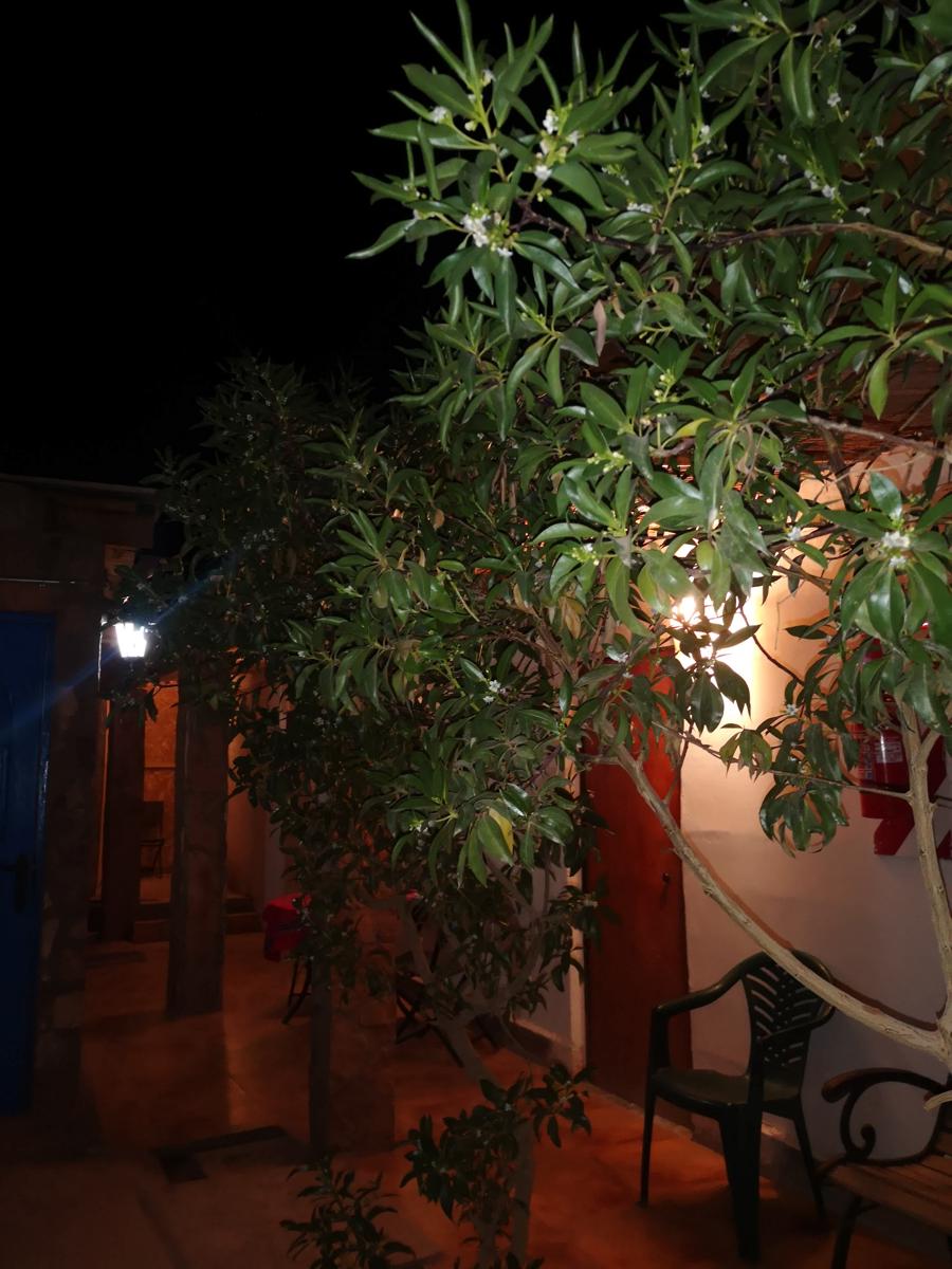 Hostal Puripica photo 4