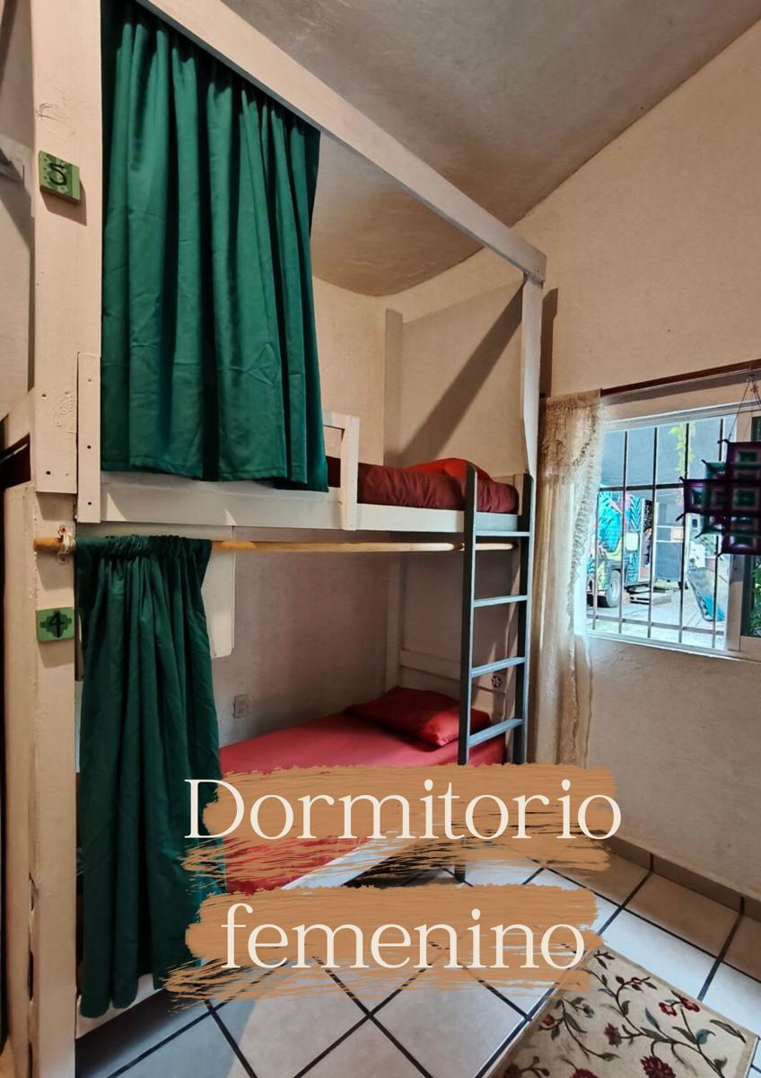 EKKO Hostel photo 2
