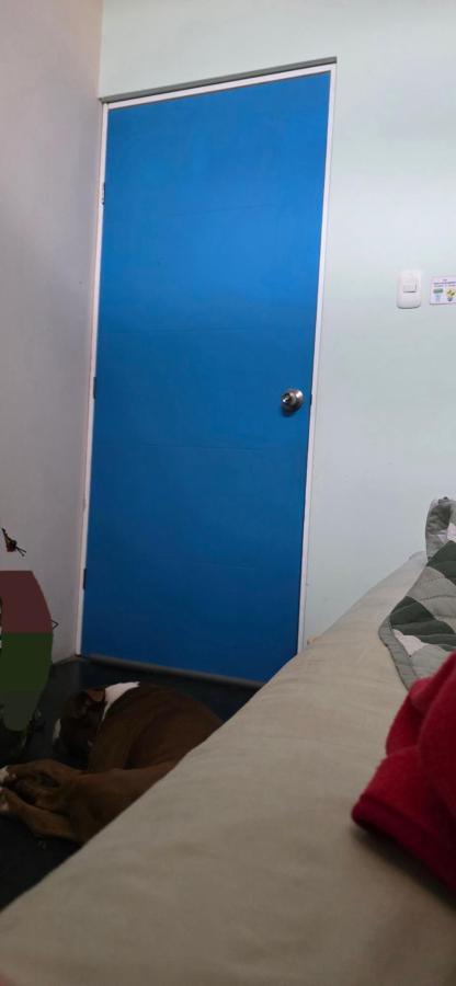 Spondylus Home photo 6