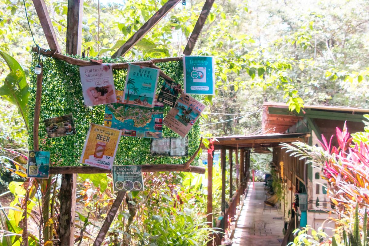 Smile Jungle Hostel photo 4