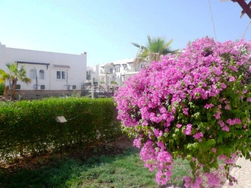 Logaina Sharm Resort photo 3