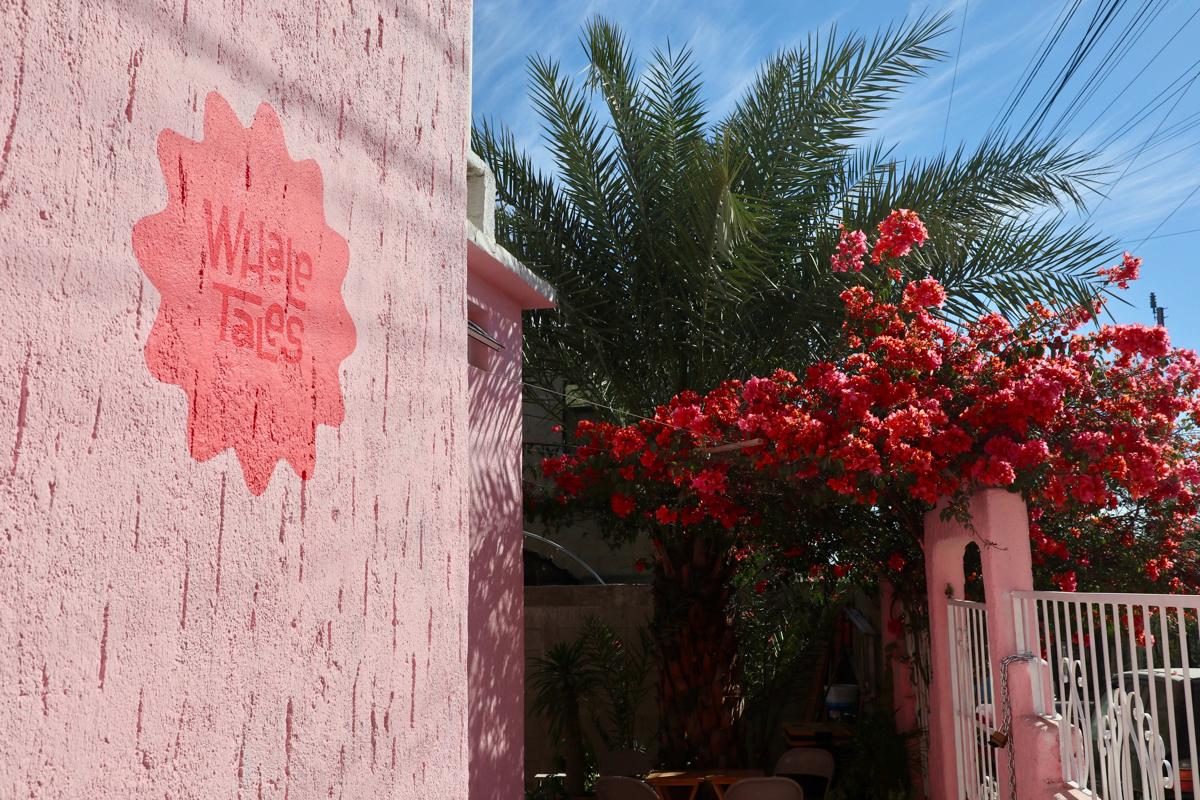 Whale Tales Hostel photo 2