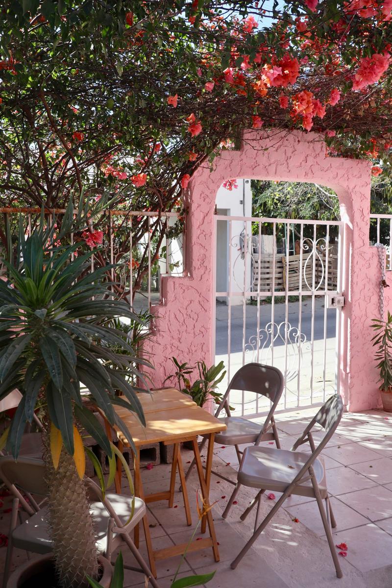 Whale Tales Hostel photo 3