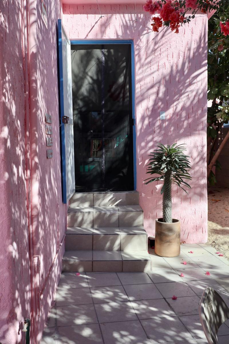 Whale Tales Hostel photo 4