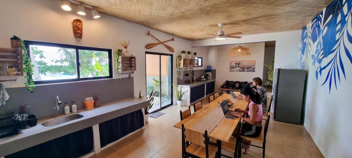 Blue House Backpackers photo 2
