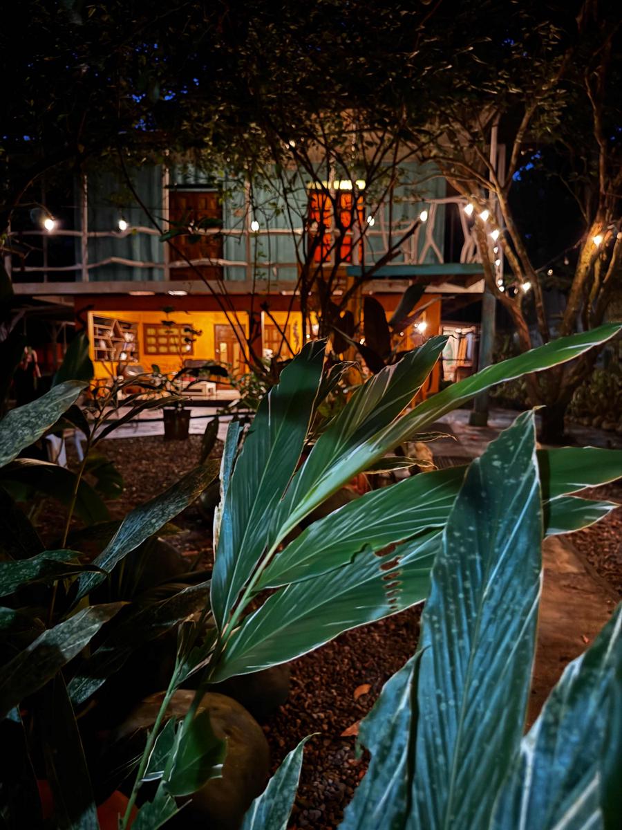 Madre Selva Hostel photo 1