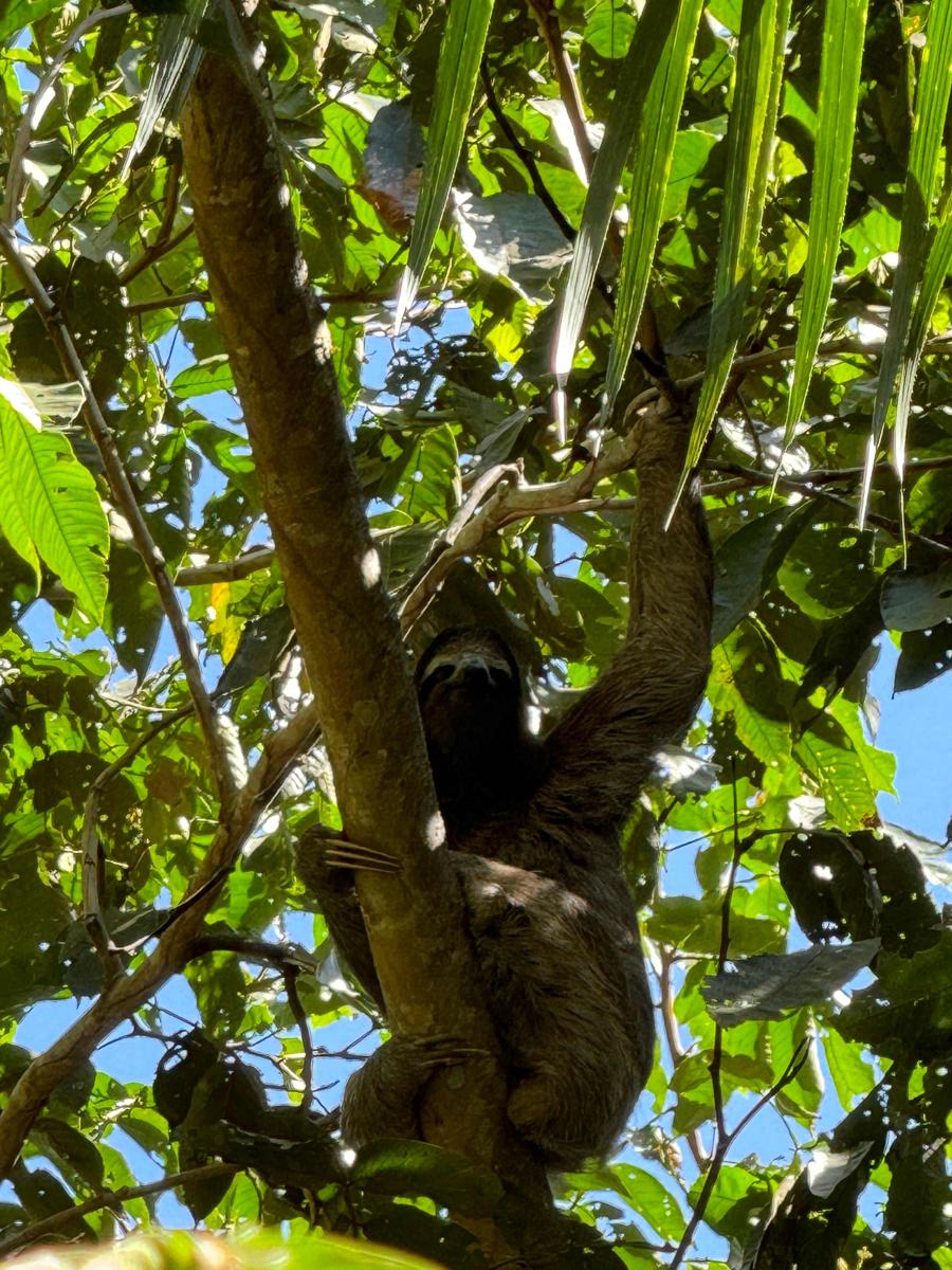 Madre Selva Hostel photo 2