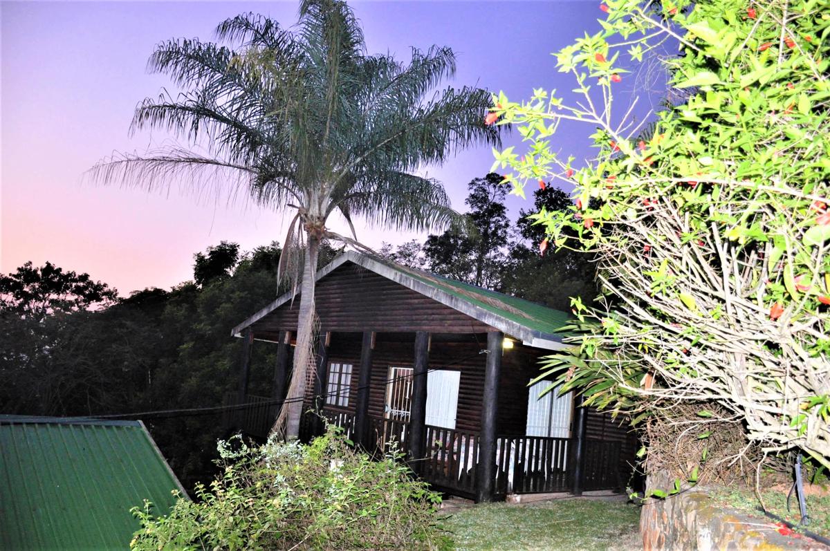 Impala Niezel Lodge & Safari Tours photo 1