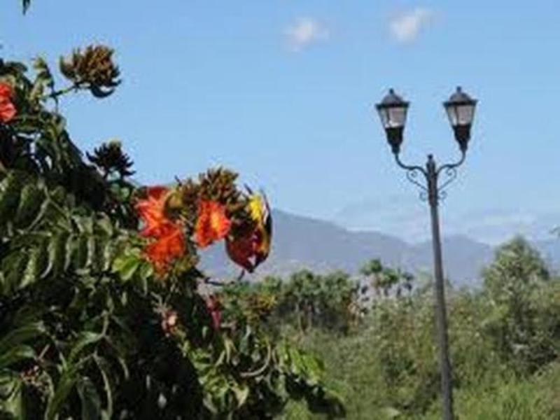 Hotel Posada Senor Manana photo 4