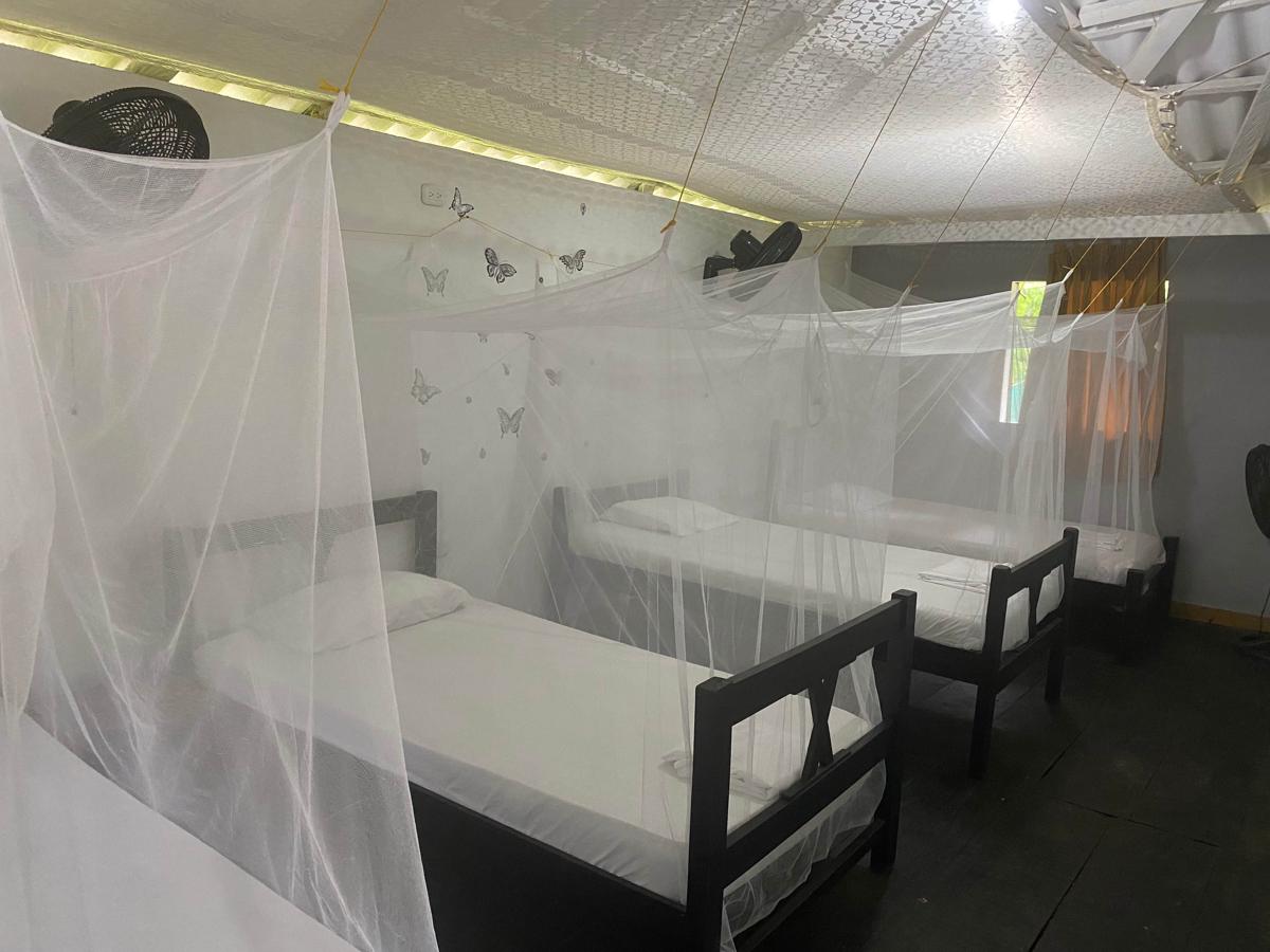 Wayanay Tayrona Eco Hostal photo 3