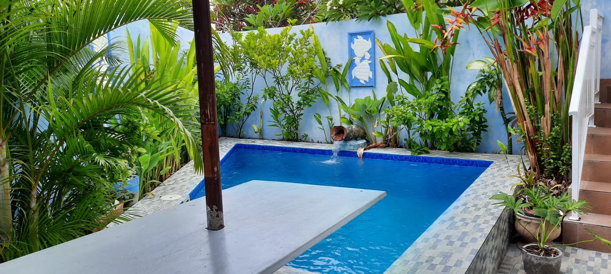 Serangan Turtle Island Homestay photo 4