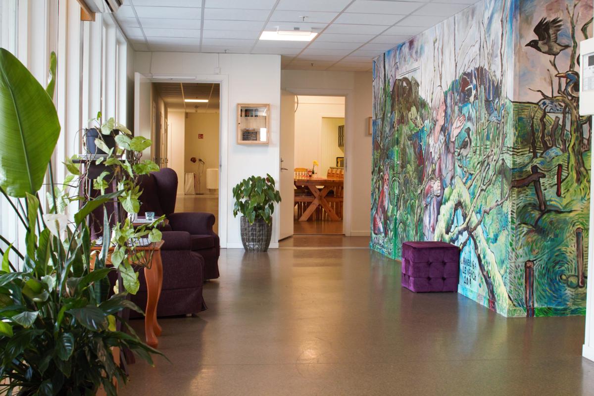 Sognhostel photo 3