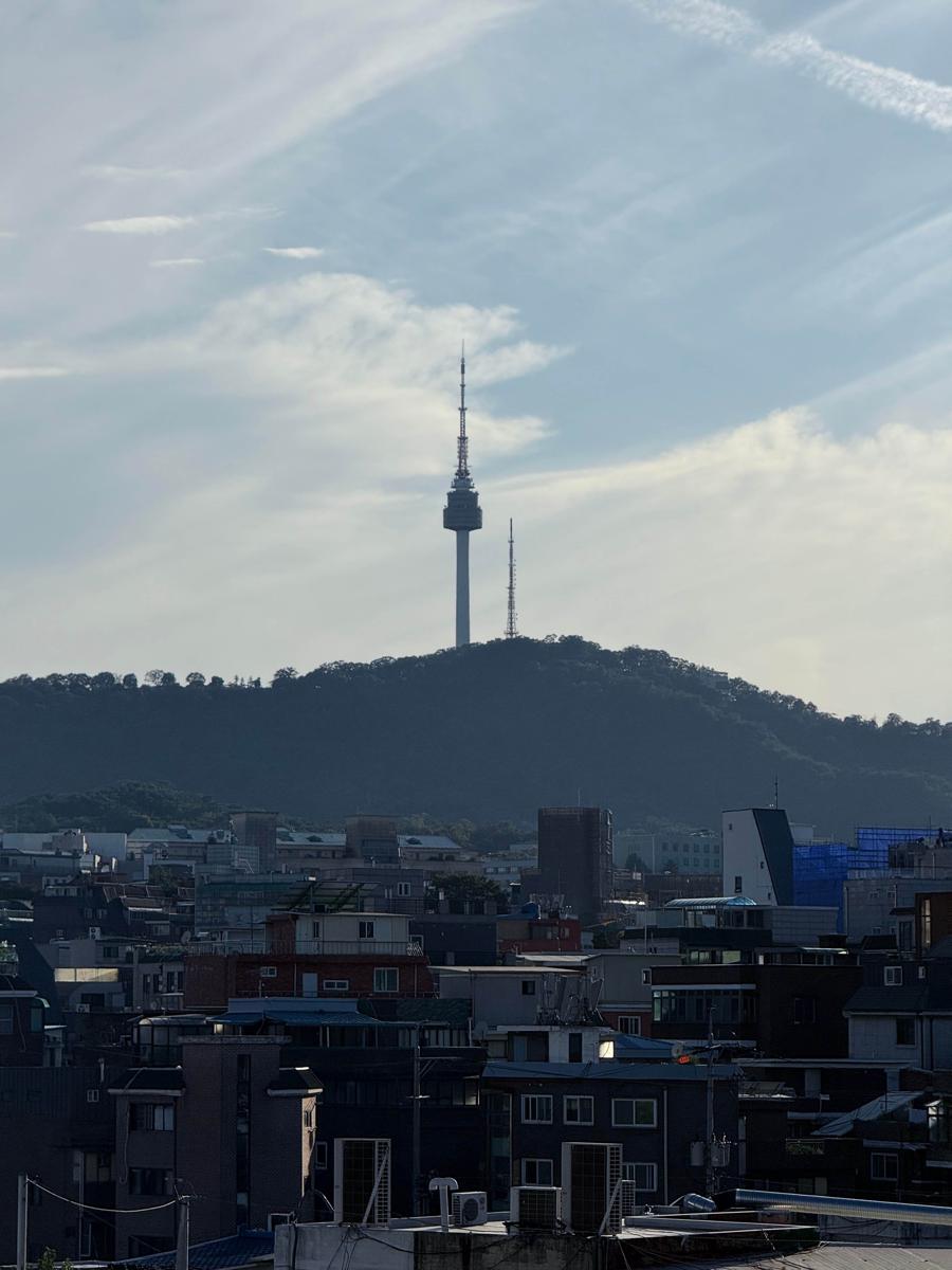 Roaming Tiger Seoul photo 2