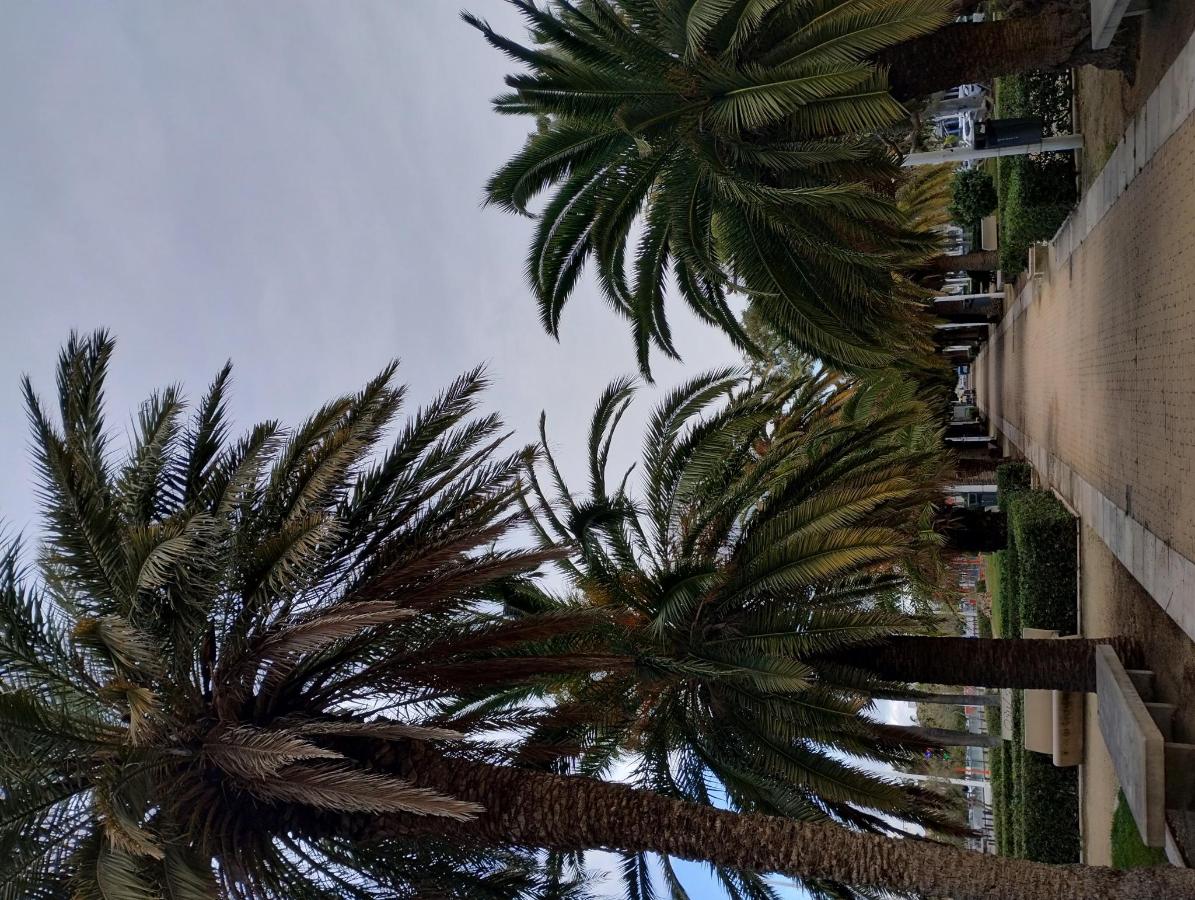 Hotel Sol Playa photo 6
