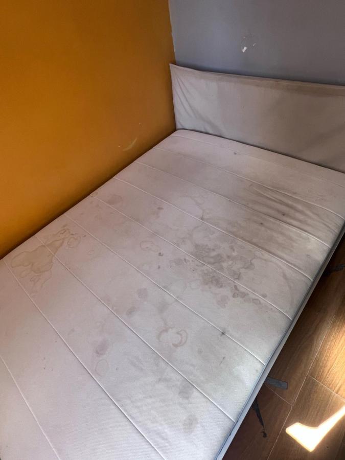 The Hive Hostel photo 6