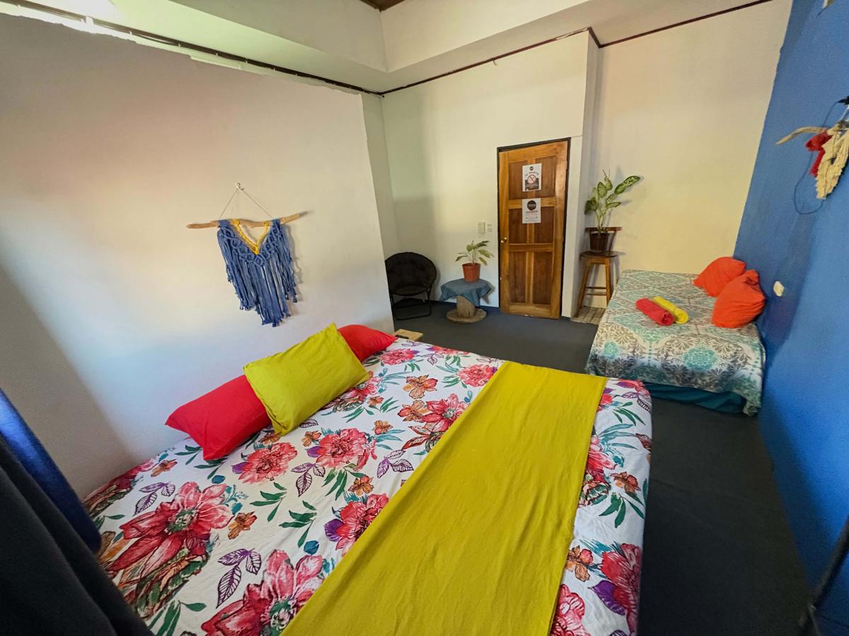 Passifloras Hostel photo 1