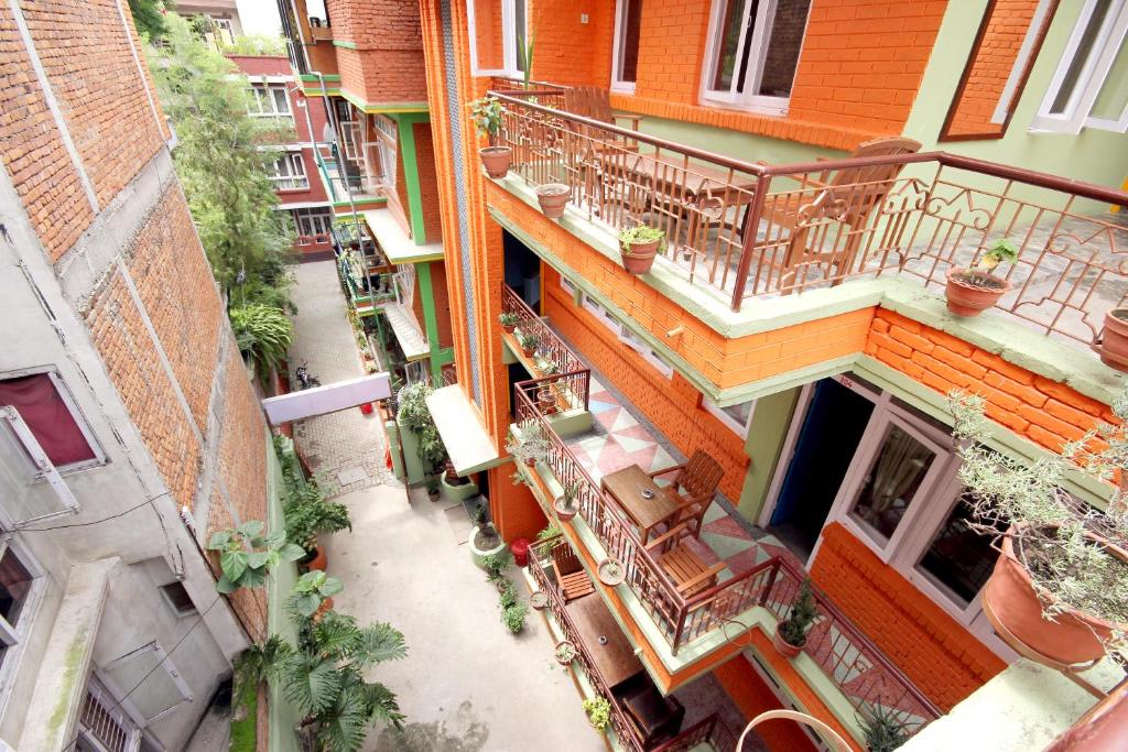 Hotel Backpackers Inn photo 3