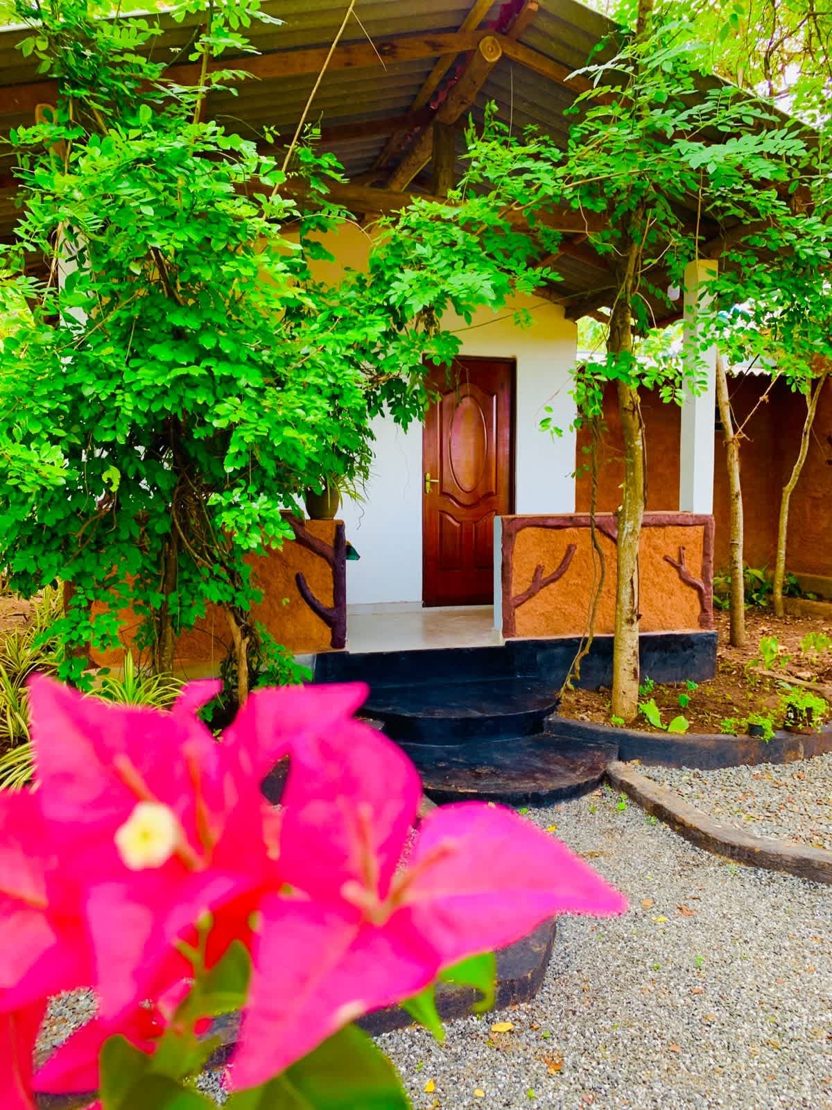 Wild Queens Safari Cottage photo 1