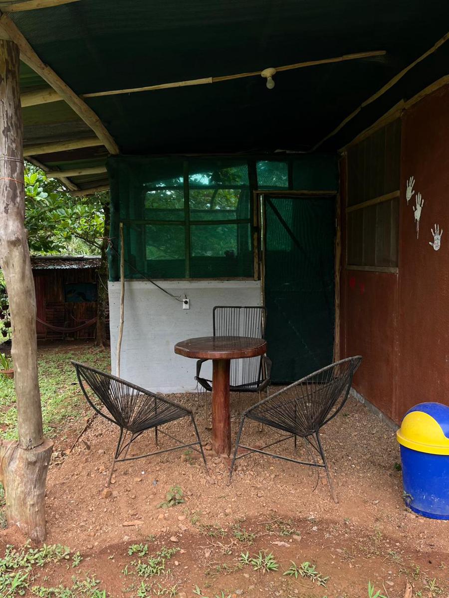 Ceiba Ganadito photo 2