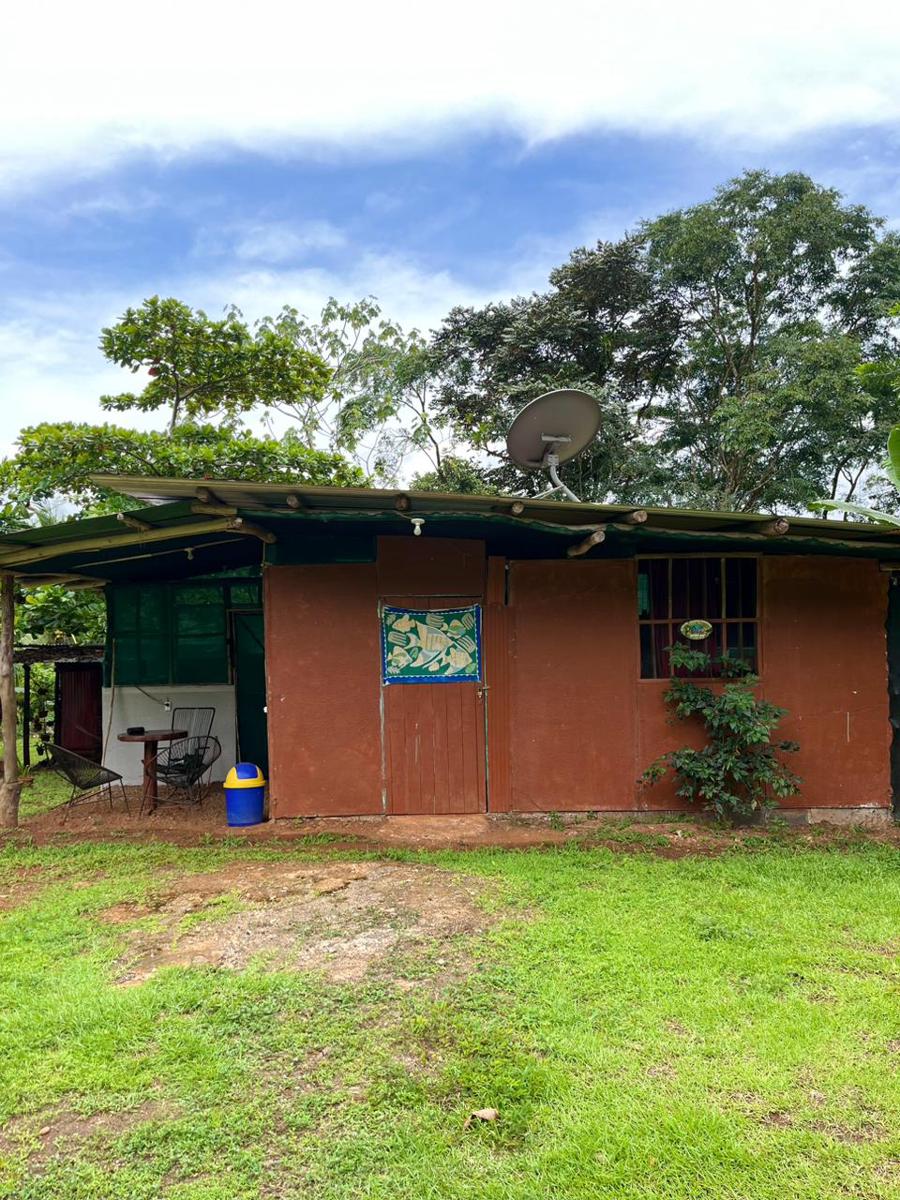 Ceiba Ganadito photo 3