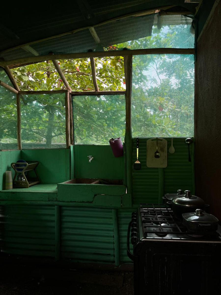 Ceiba Ganadito photo 4