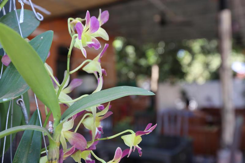 Eco-Home photo 1