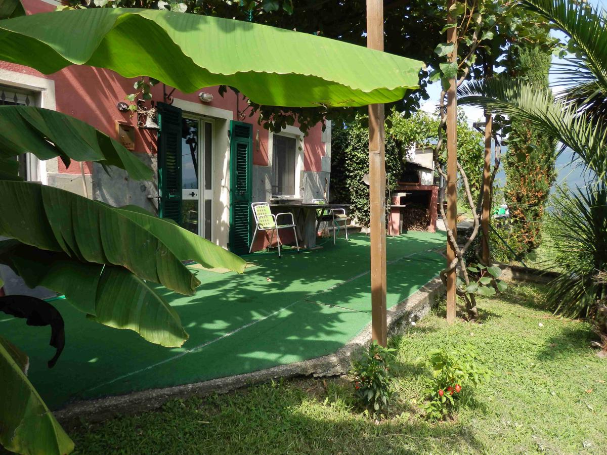 @Gatetothewild photo 4