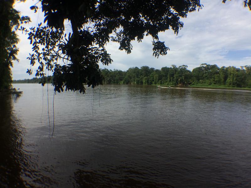 Rana Roja Lodge photo 2