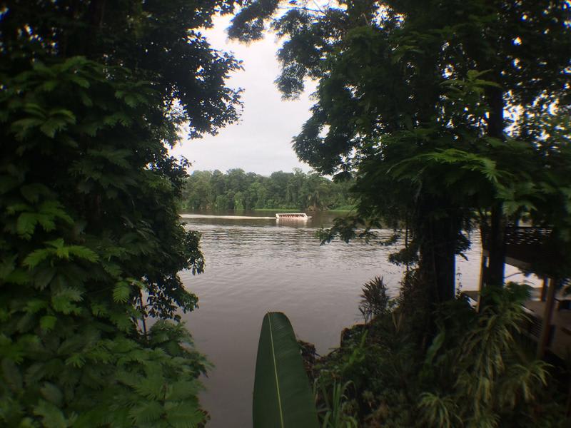 Rana Roja Lodge photo 3