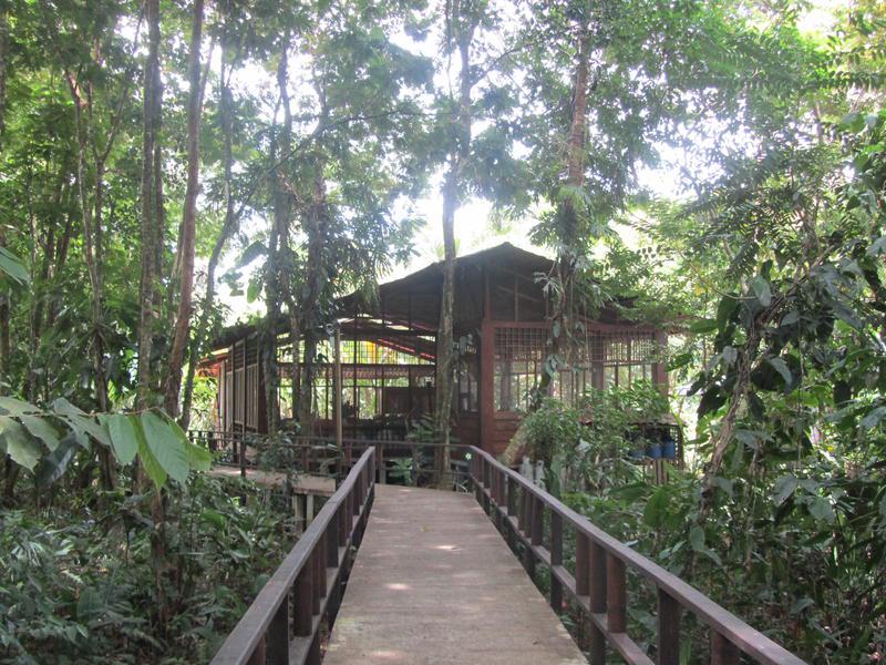 Rana Roja Lodge photo 6