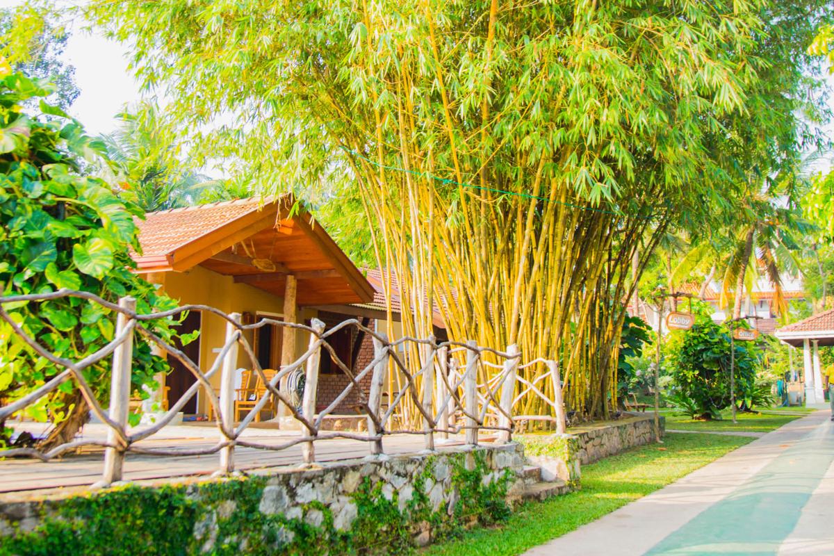 Villa Shade photo 1