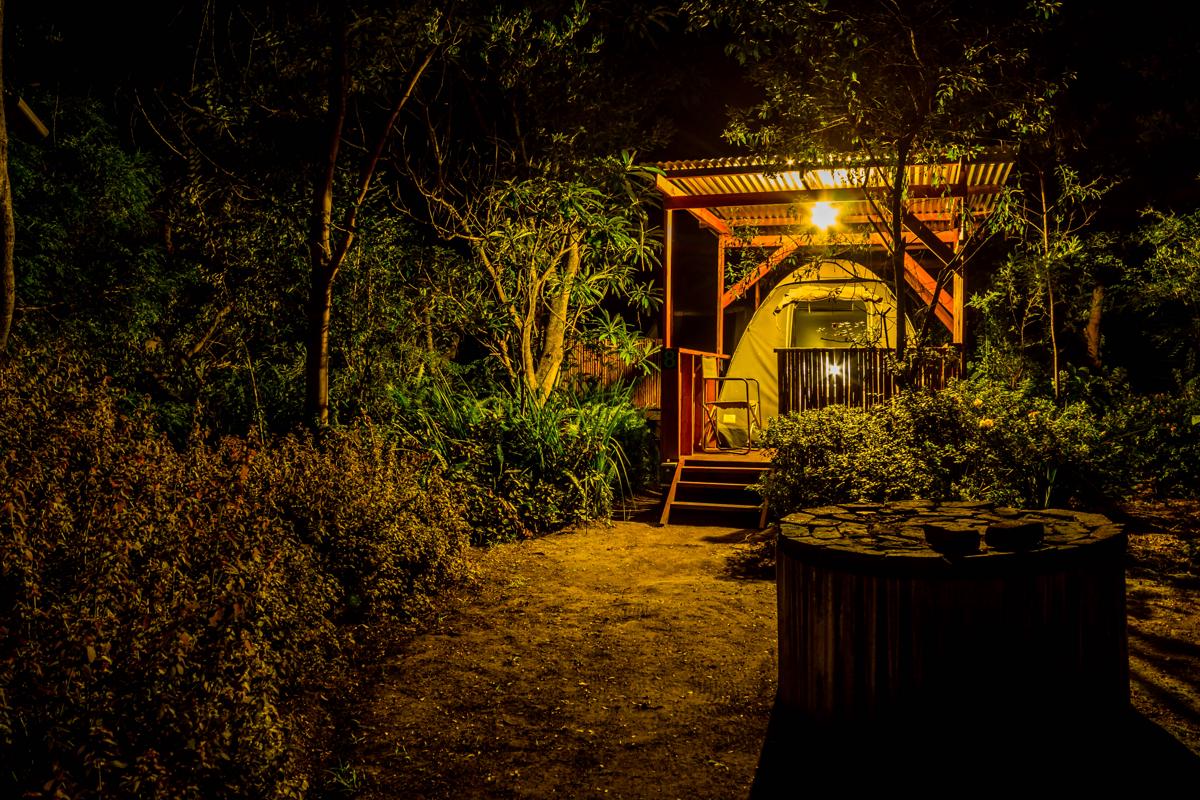 Storms River Forest Lodge photo 1