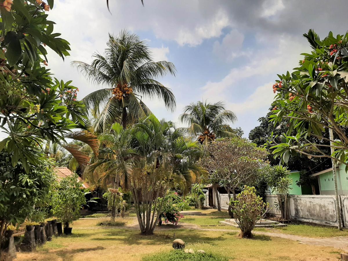 New Taman Sari Homestay photo 4