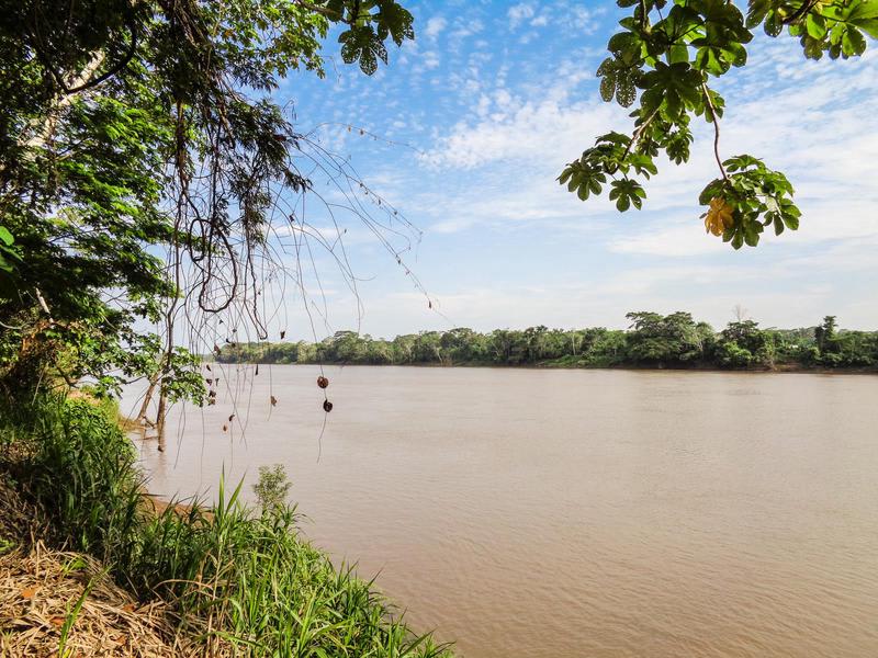 Don Jaime Bungalows - Tambopata photo 1
