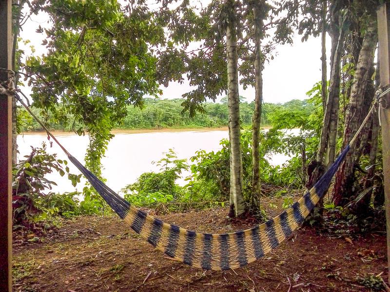 Don Jaime Bungalows - Tambopata photo 2