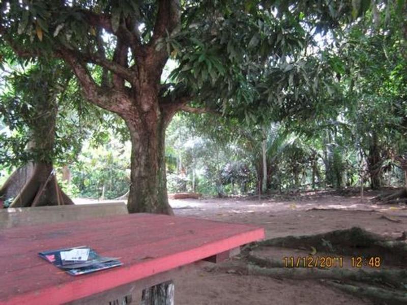 Don Jaime Bungalows - Tambopata photo 4