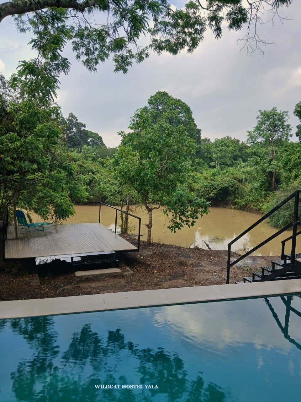 Wildcat Hostel Yala photo 3