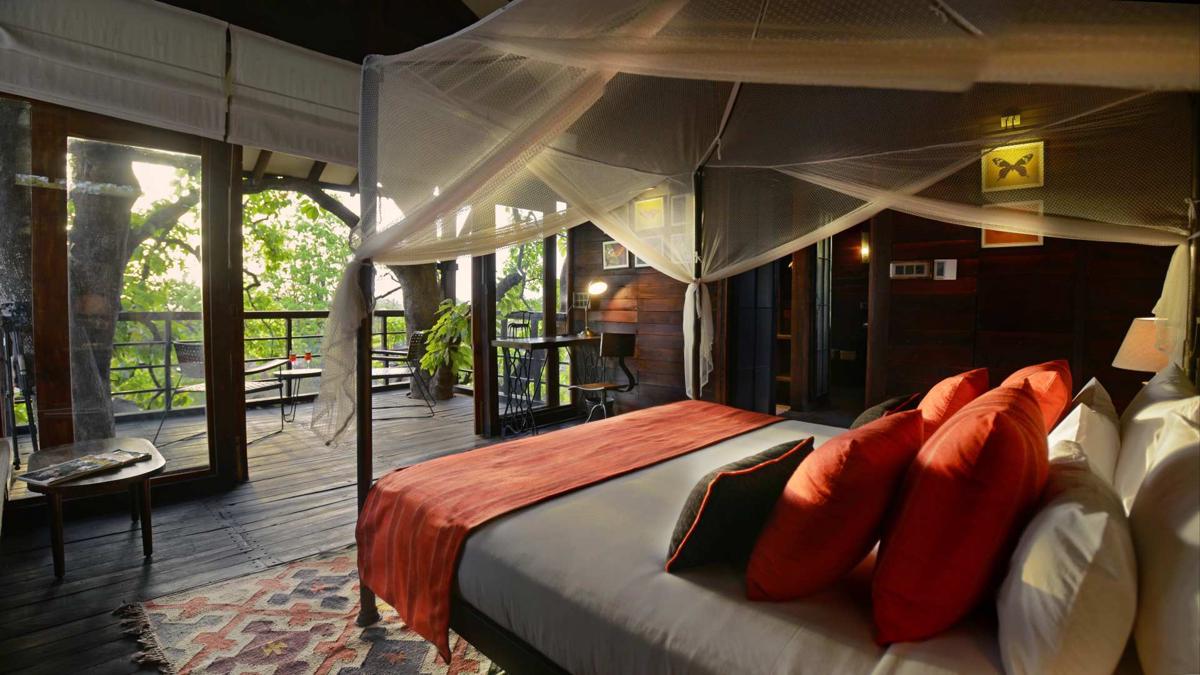 Pench Tree Lodge photo 4