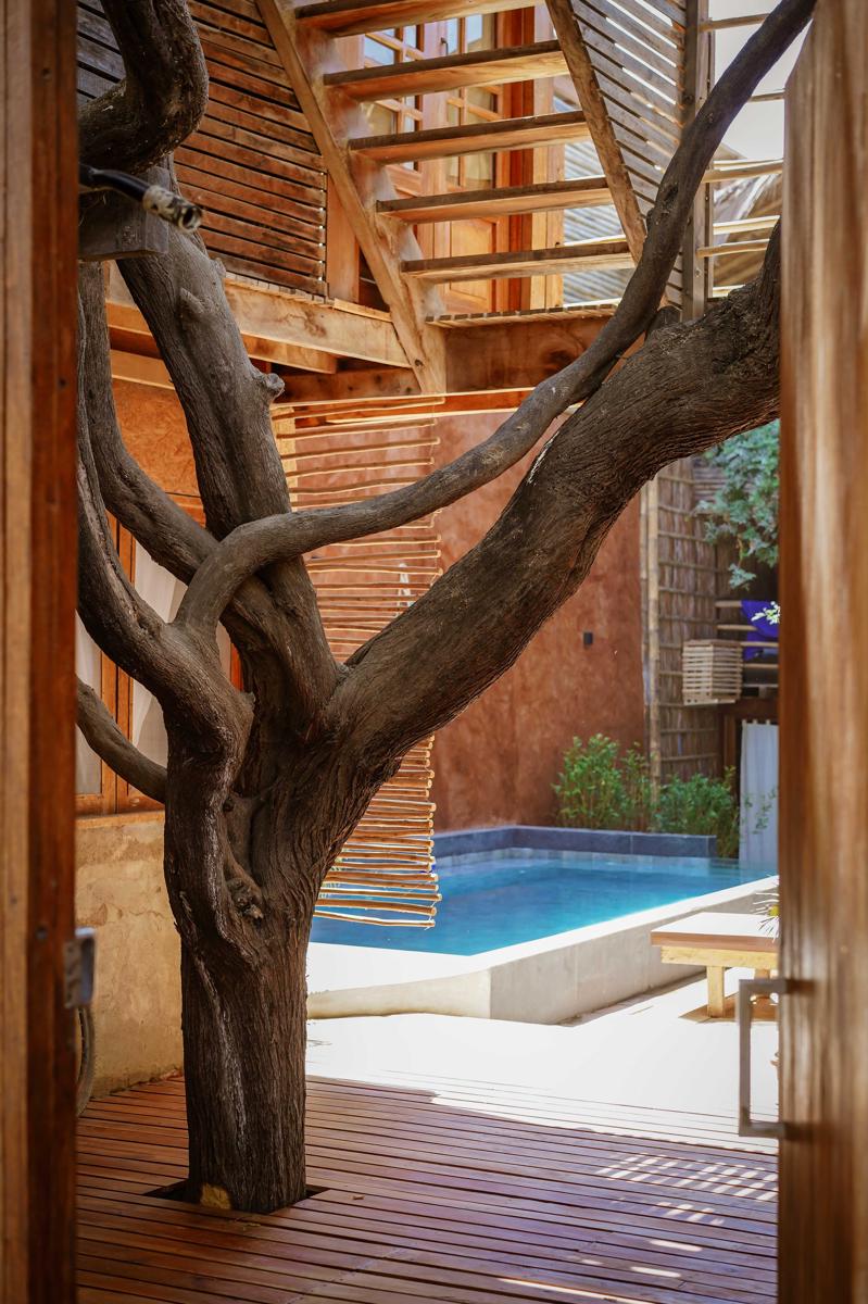 Ecolodge Mancora photo 3