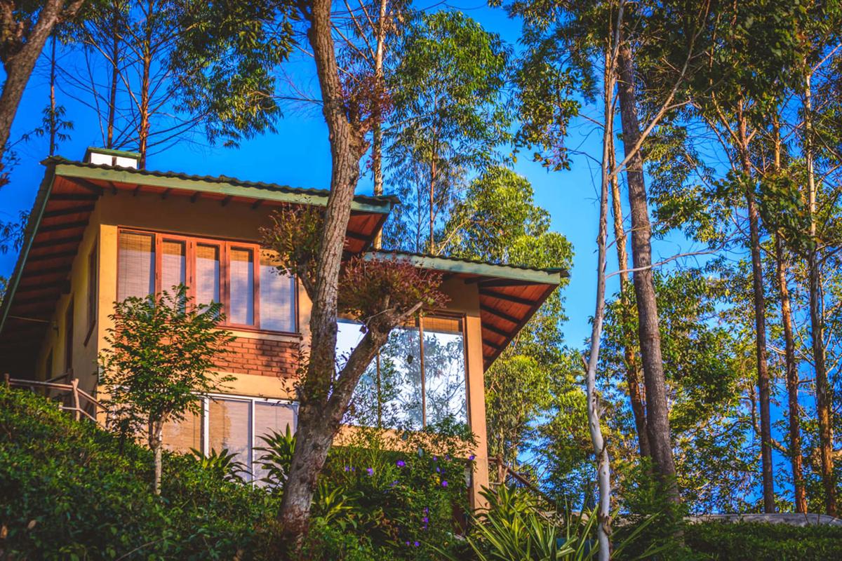 Tea Cottage Resort and Spa photo 1