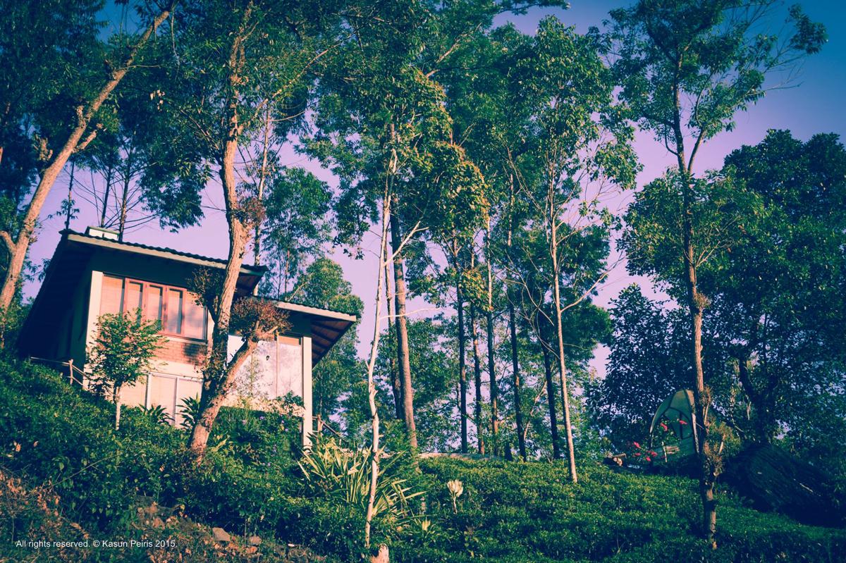 Tea Cottage Resort and Spa photo 2