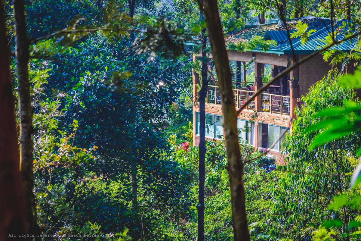 Tea Cottage Resort and Spa photo 4
