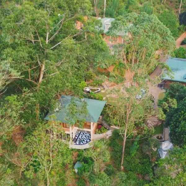 Tea Cottage Resort and Spa photo 5