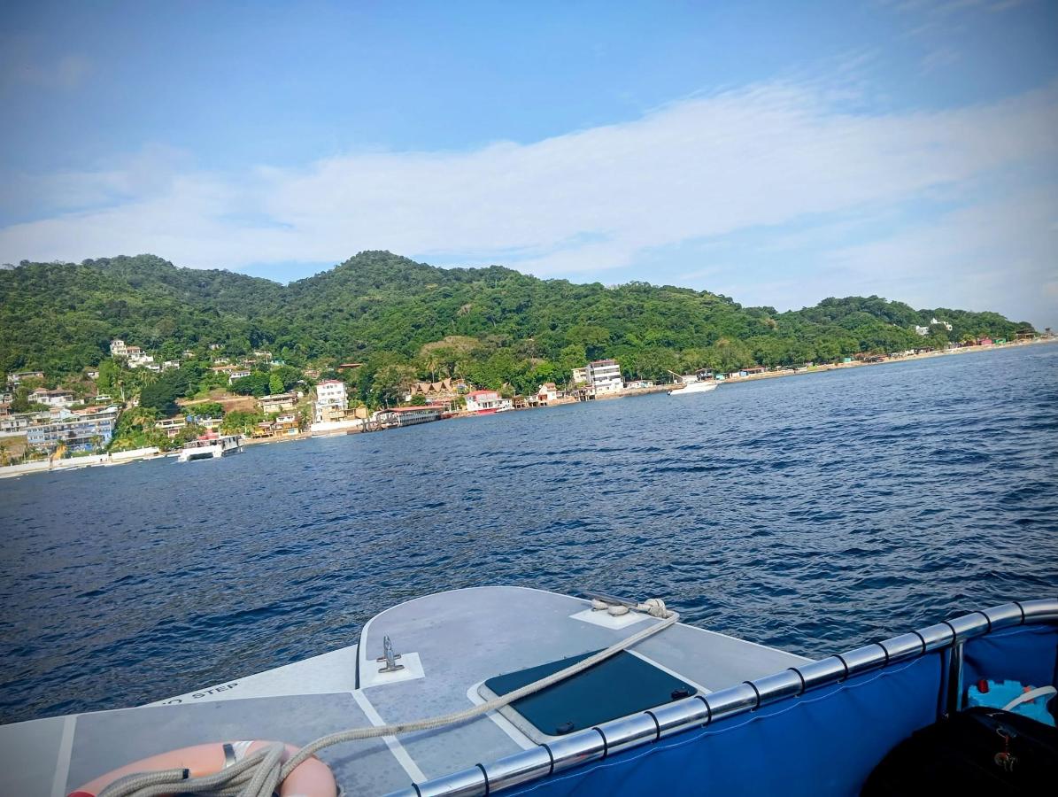 Marinn Tropical Vibes photo 6