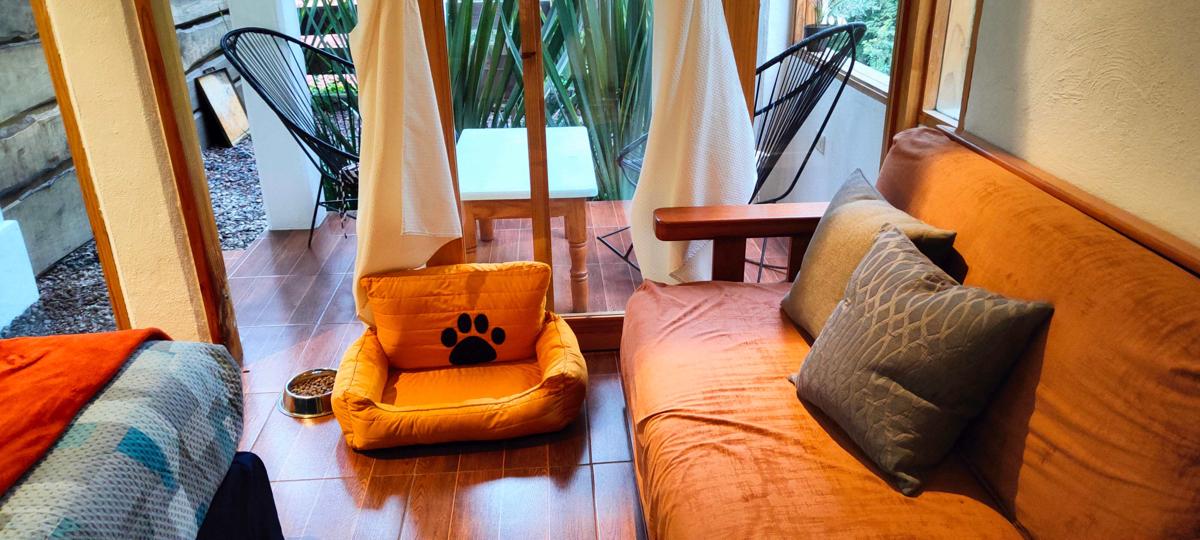 Encino House Hotel Boutique photo 2