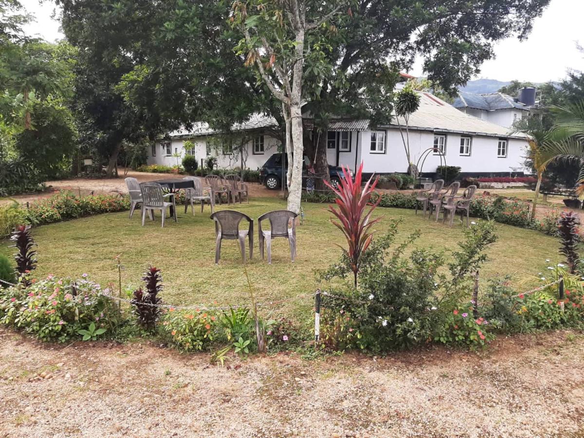Woodlands Holiday Bungalow photo 4