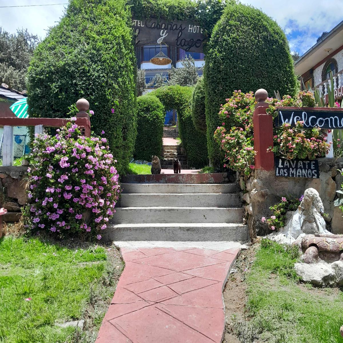 Sol y Lago Hostal photo 4